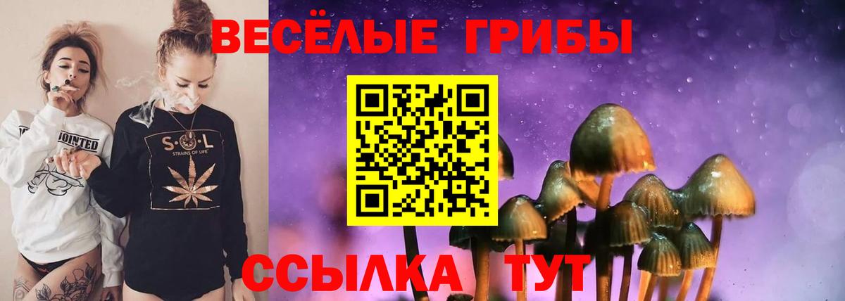 Янаул  Галлюциногенные грибы Magic Shrooms  Псилоцибиновые грибы мухоморы  Вход с VPN 